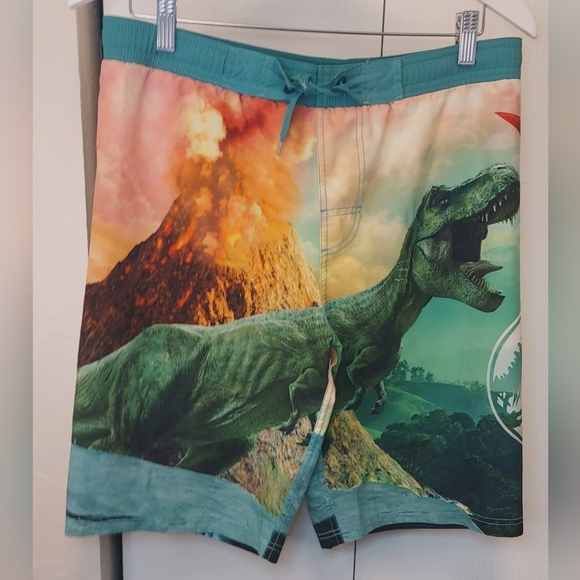 Jurassic World Park T-Rex Graphic Board Shorts Swim Trunks Size XL (14-16) Youth - Picture 3 of 11